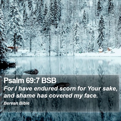 Psalm 69:7 BSB Bible Verse Image