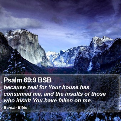 Psalm 69:9 BSB Bible Verse Image