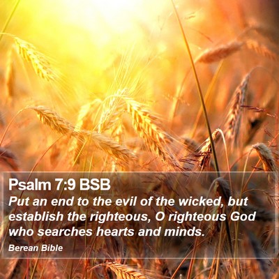 Psalm 7:9 BSB Bible Verse Image
