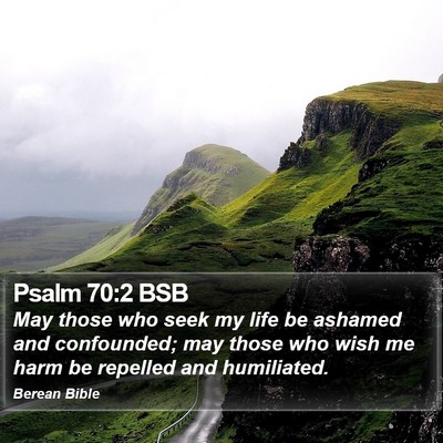 Psalm 70:2 BSB Bible Verse Image