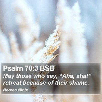 Psalm 70:3 BSB Bible Verse Image
