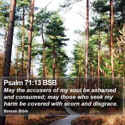 Psalm 71:13 BSB Bible Verse Image