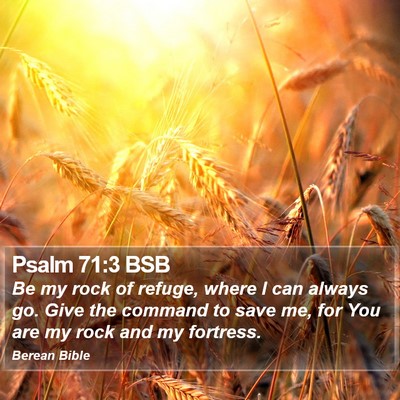 Psalm 71:3 BSB Bible Verse Image