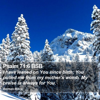 Psalm 71:6 BSB Bible Verse Image