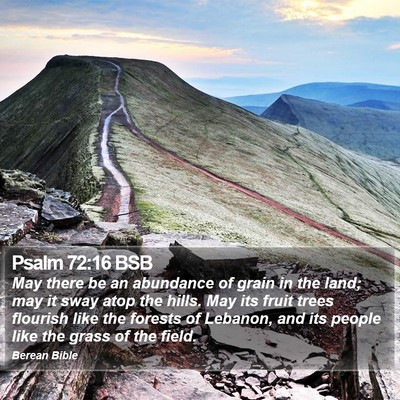 Psalm 72:16 BSB Bible Verse Image