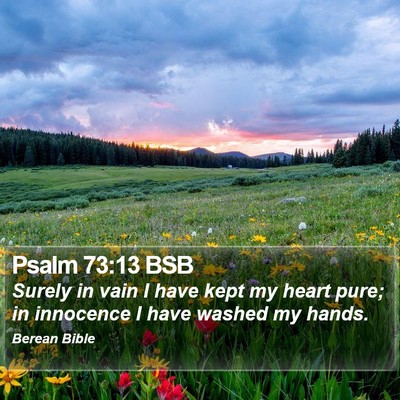 Psalm 73:13 BSB Bible Verse Image