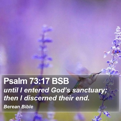Psalm 73:17 BSB Bible Verse Image