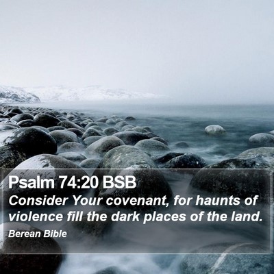 Psalm 74:20 BSB Bible Verse Image