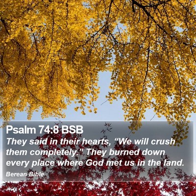 Psalm 74:8 BSB Bible Verse Image