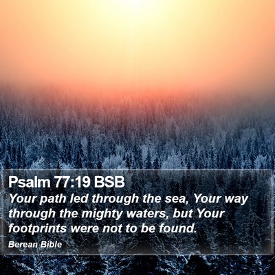 Psalm 77:19 BSB Bible Verse Image