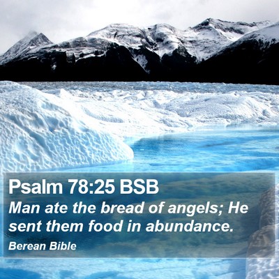Psalm 78:25 BSB Bible Verse Image