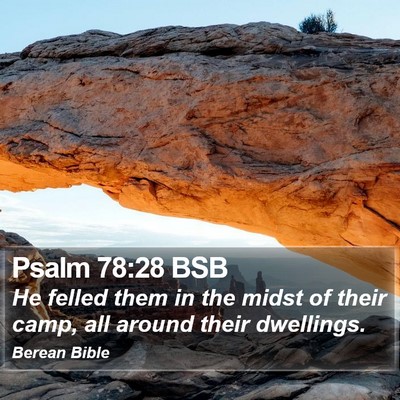 Psalm 78:28 BSB Bible Verse Image