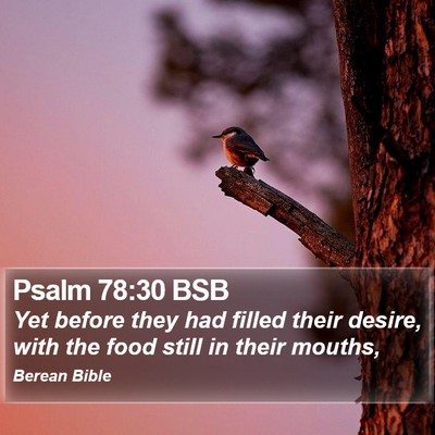 Psalm 78:30 BSB Bible Verse Image