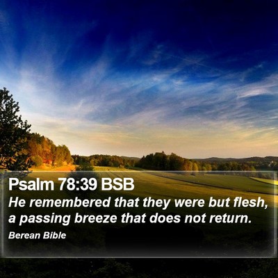 Psalm 78:39 BSB Bible Verse Image