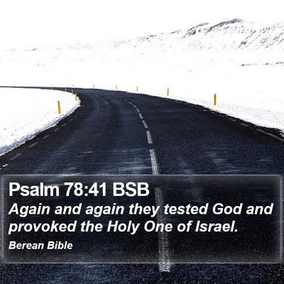 Psalm 78:41 BSB Bible Verse Image