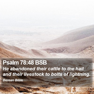 Psalm 78:48 BSB Bible Verse Image