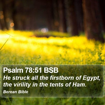 Psalm 78:51 BSB Bible Verse Image