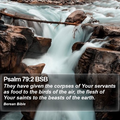 Psalm 79:2 BSB Bible Verse Image