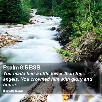 Psalm 8:5 BSB Bible Verse Image