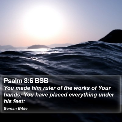 Psalm 8:6 BSB Bible Verse Image