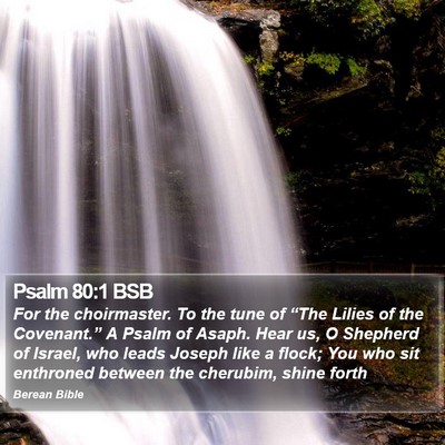 Psalm 80:1 BSB Bible Verse Image