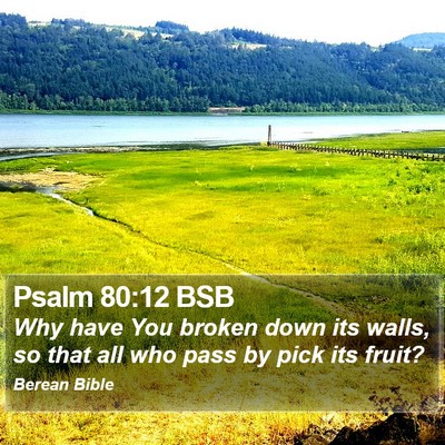 Psalm 80:12 BSB Bible Verse Image