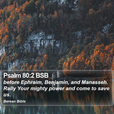 Psalm 80:2 BSB Bible Verse Image