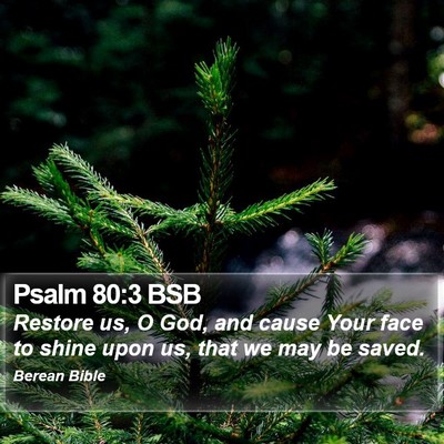 Psalm 80:3 BSB Bible Verse Image