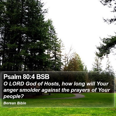 Psalm 80:4 BSB Bible Verse Image