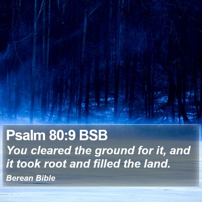 Psalm 80:9 BSB Bible Verse Image