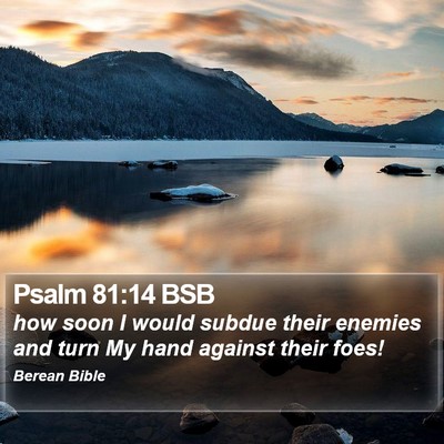 Psalm 81:14 BSB Bible Verse Image