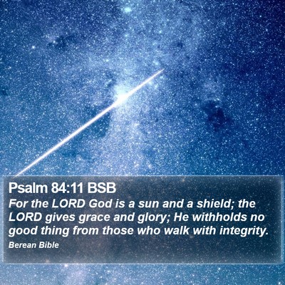 Psalm 84:11 BSB Bible Verse Image