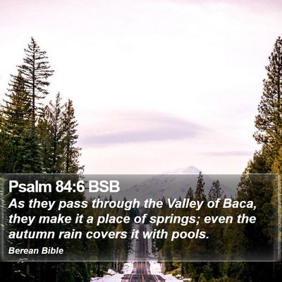 Psalm 84:6 BSB Bible Verse Image
