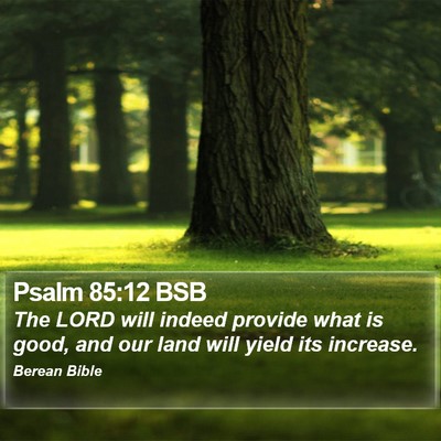 Psalm 85:12 BSB Bible Verse Image