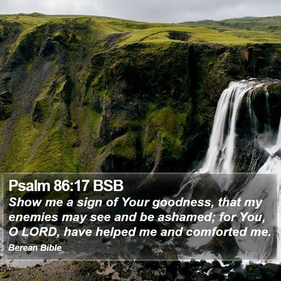 Psalm 86:17 BSB Bible Verse Image