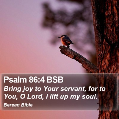 Psalm 86:4 BSB Bible Verse Image