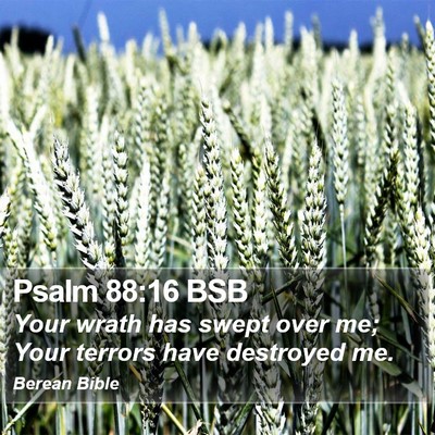 Psalm 88:16 BSB Bible Verse Image