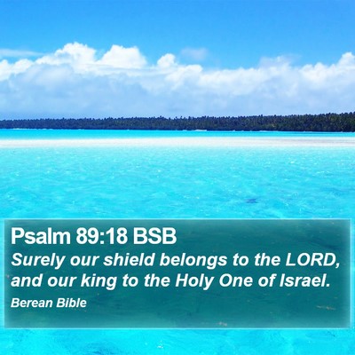 Psalm 89:18 BSB Bible Verse Image