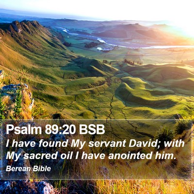 Psalm 89:20 BSB Bible Verse Image