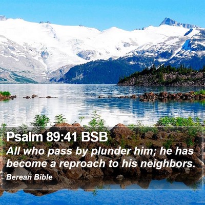 Psalm 89:41 BSB Bible Verse Image