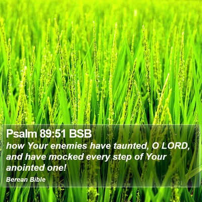 Psalm 89:51 BSB Bible Verse Image