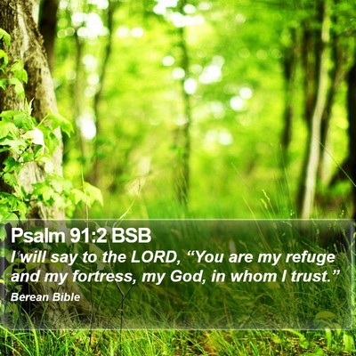 Psalm 91:2 BSB Bible Verse Image
