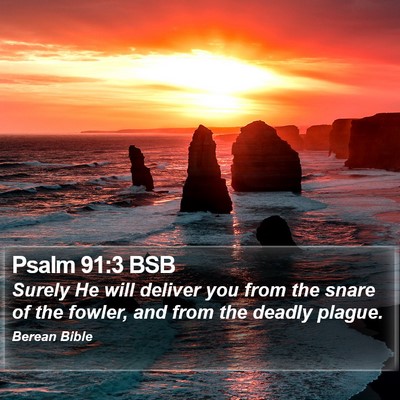 Psalm 91:3 BSB Bible Verse Image