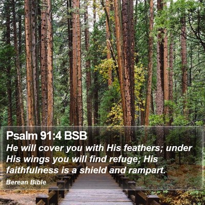 Psalm 91:4 BSB Bible Verse Image