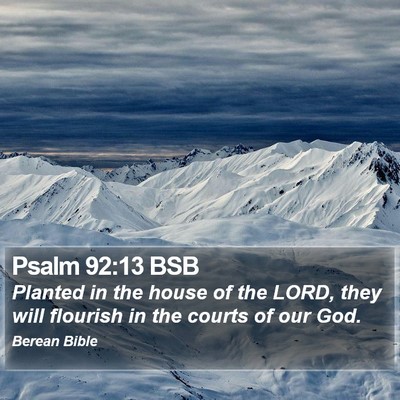 Psalm 92:13 BSB Bible Verse Image
