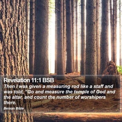 Revelation 11:1 BSB Bible Verse Image
