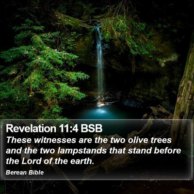 Revelation 11:4 BSB Bible Verse Image