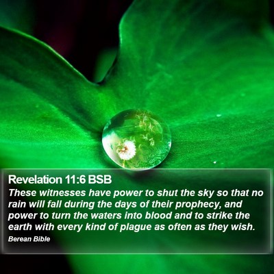 Revelation 11:6 BSB Bible Verse Image