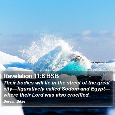 Revelation 11:8 BSB Bible Verse Image