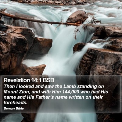 Revelation 14:1 BSB Bible Verse Image